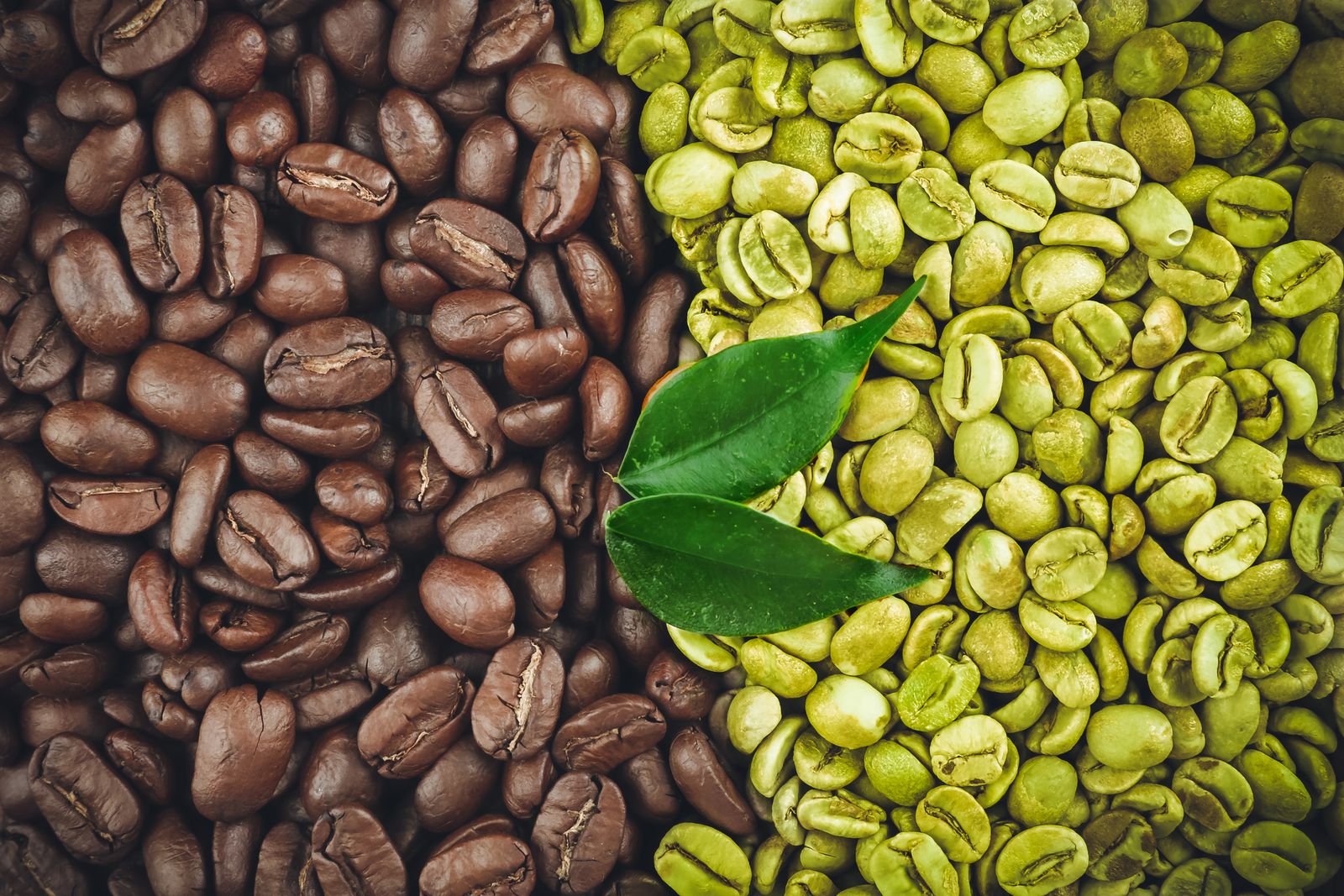 Díky zelené kávě nezhubnete, ale určitě ji vyzkoušejte