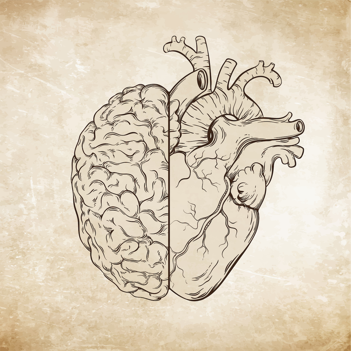 Sídlom emócií v tele je srdce a mozog