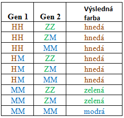 Tabuľka možných kombinácií génov