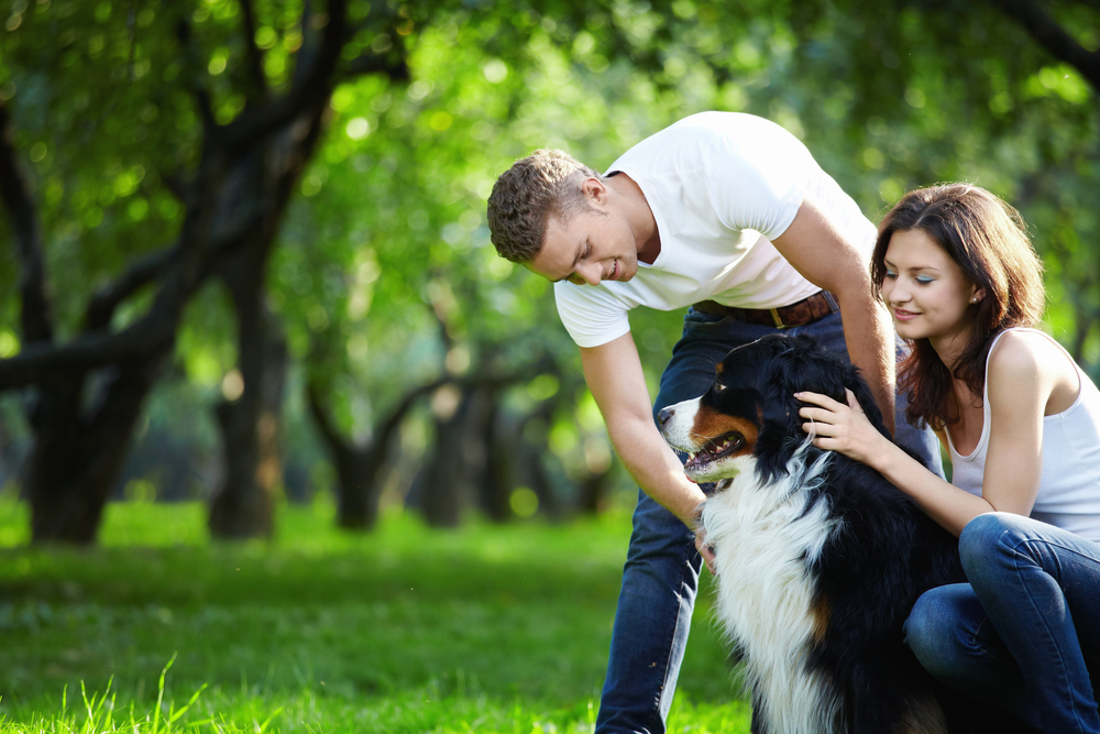 Víte jistě, že budete mít čas psa několikrát denně venčit a chodit s ním na procházky?