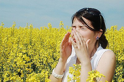 Alergia alebo hrozba jari prichádza