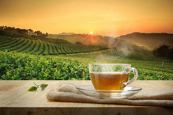 Čaj: povzbudzujúci nápoj starý takmer 5 000 rokov